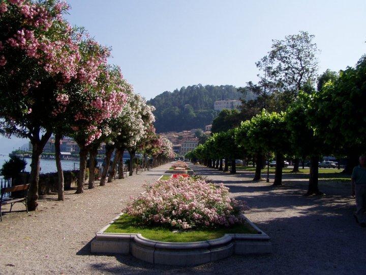 B&B Sosta Sul Lago Lezzeno Exterior foto